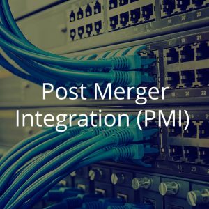 Post Merger Integration Module
