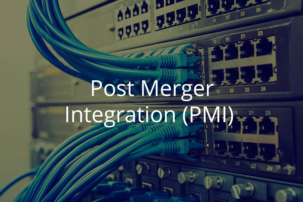 Post Merger Integration Module