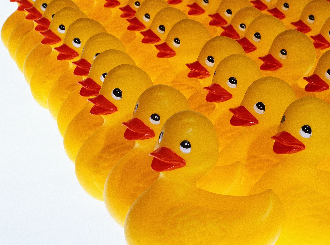 Serial Acquirers: Getting Your Ducks In A Row