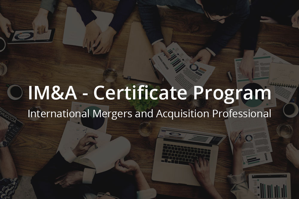 International Online Mergers and Acquisitions Certificate Program