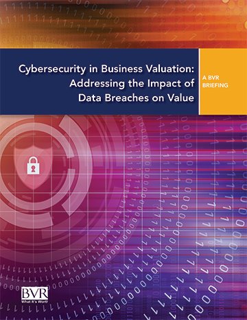 Book cover of Cybersecurity in Business Valuation in IMAA E-Library